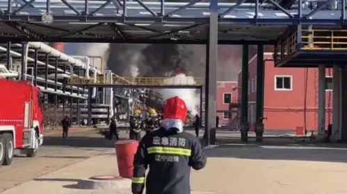 辽宁化工厂爆炸已致5死8失联 涉事公司曾因偷逃税被通报