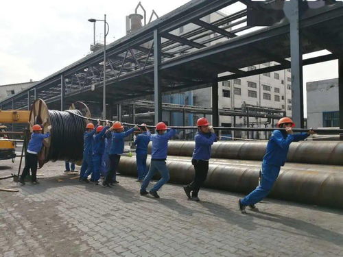 中盐内蒙古化工公司电石厂组织职工圆满完成600吨 日石灰窑活性石灰项目电缆敷设任务