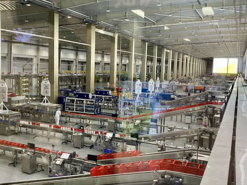 南京老字号护航2025世界田联室内锦标赛 数智化实力铸就舌尖上的 中国品质