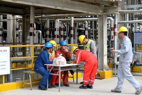 园区管理 美克化工检修 百景图