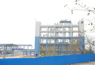 江西星火有机硅厂的组织架构