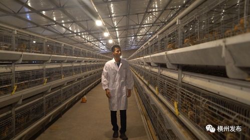 陶圩镇 结合茉莉产业 打造本地品牌